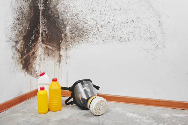 Crawl Space Mold Removal in Troy, IL