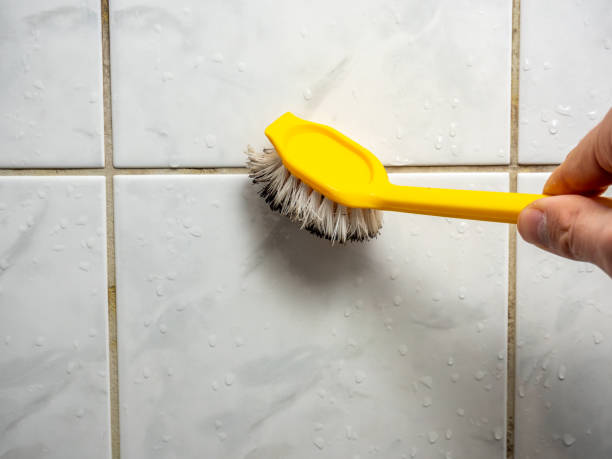 Best Mold Testing  in Troy, IL