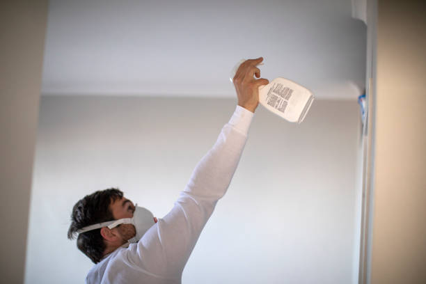 Best Mold Removal Company Near Me  in Troy, IL