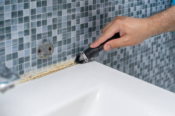 Trusted Troy, IL Mold Removal Experts