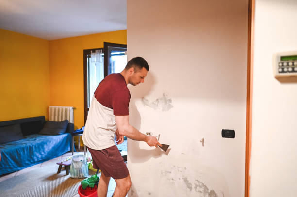 Best Mold Testing  in Troy, IL